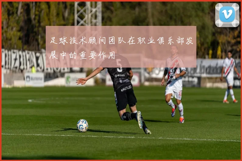 足球技术顾问团队在职业俱乐部发展中的重要作用