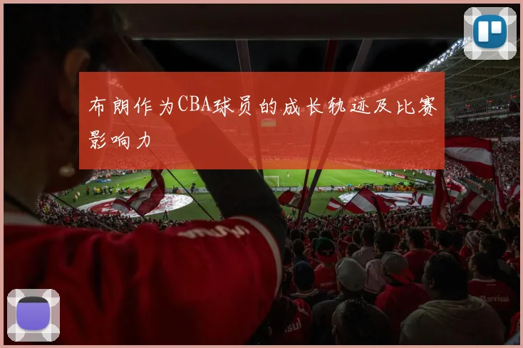 布朗作为CBA球员的成长轨迹及比赛影响力