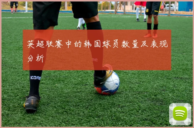 英超联赛中的韩国球员数量及表现分析