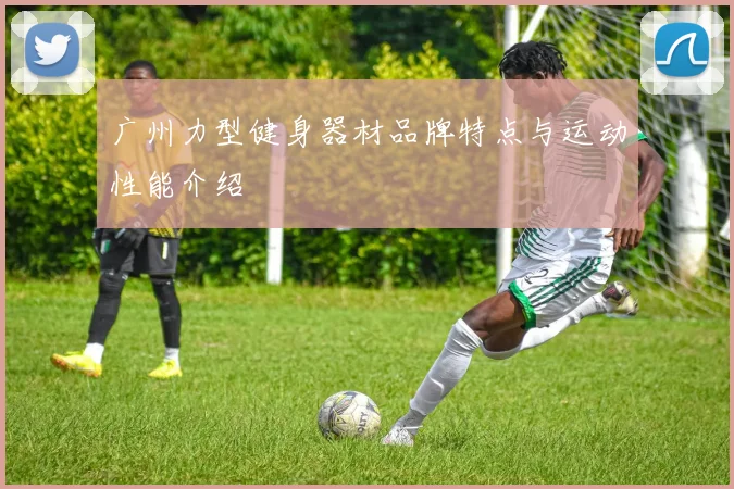 广州力型健身器材品牌特点与运动性能介绍