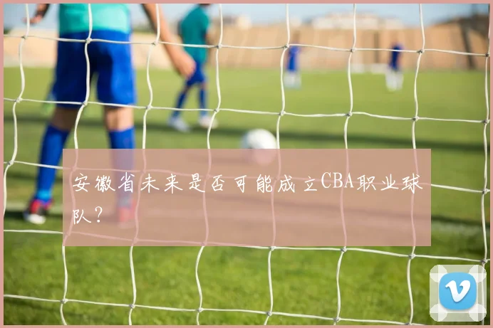 安徽省未来是否可能成立CBA职业球队？