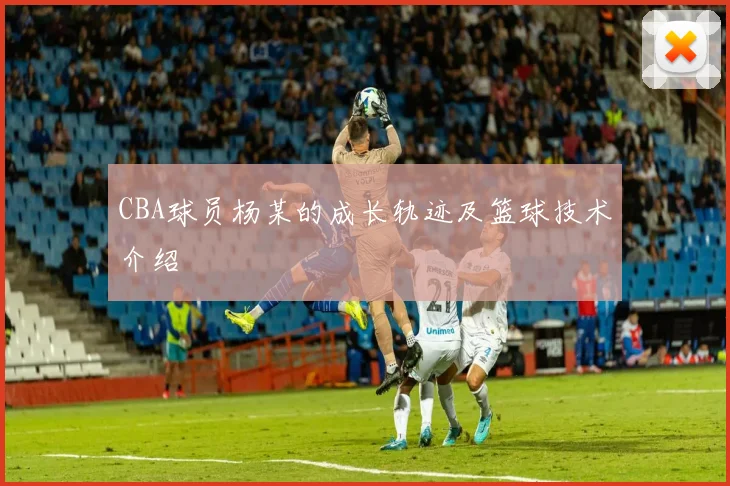 CBA球员杨某的成长轨迹及篮球技术介绍