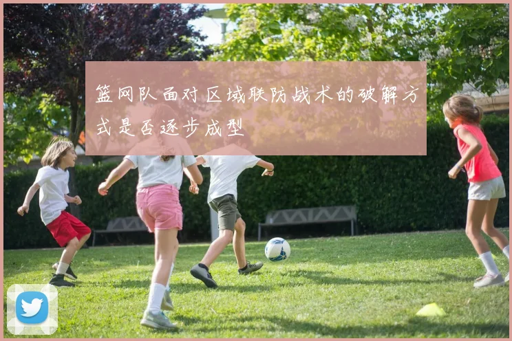 篮网队面对区域联防战术的破解方式是否逐步成型