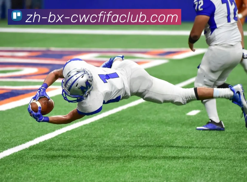 世界杯竞猜平台生态图