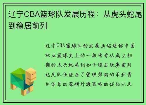辽宁CBA篮球队发展历程：从虎头蛇尾到稳居前列